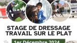 Stages de dressage / Travail sur le plat